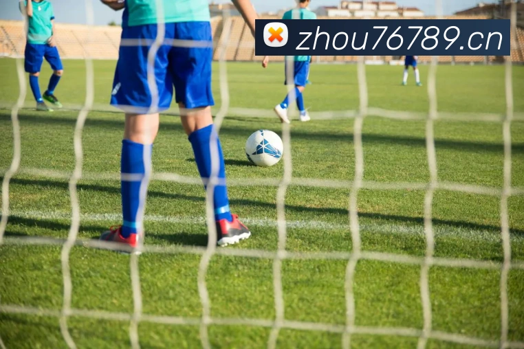 开云官网平台生态图